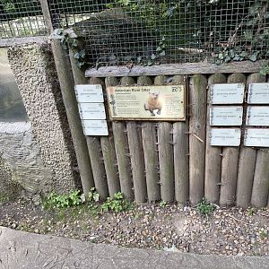 amazona otter signage
