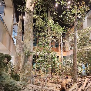 NCMNS - Mountains To The Sea diorama