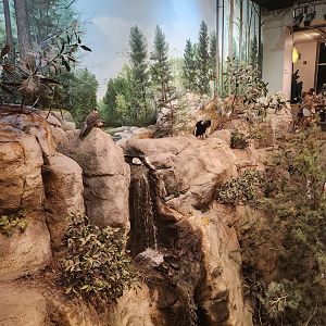 NCMNS - Mountains To Sea cliff diorama