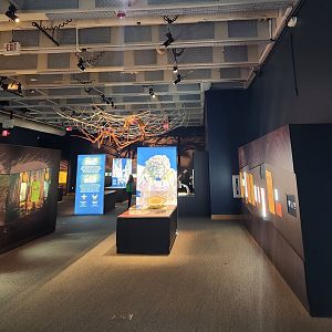 NCMNS - "SPIDERS: Fear to Fascination" exhibit hall