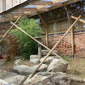thrigby hall updated enclosure in cat cloisters