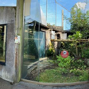 worlds apart panorama, tamandua, titi and marmoset, to sloth and pied tamarin and tamandua house