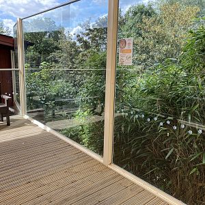 colchester new cheetah enclosure 3