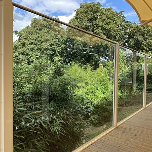 colchester new cheetah enclosure 2