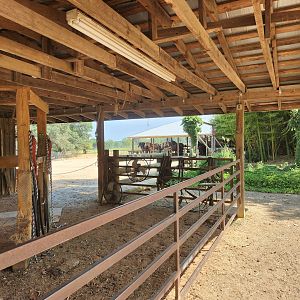 Lazy 5 Ranch - Safari wagon waiting area