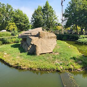 Lazy 5 Ranch - Ringtail Lemur exhibit