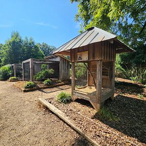 Lazy 5 Ranch - Row of bird cages