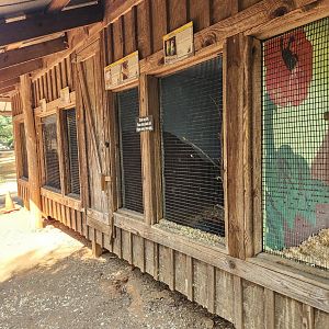 Lazy 5 Ranch - More rows of tiny bird cages
