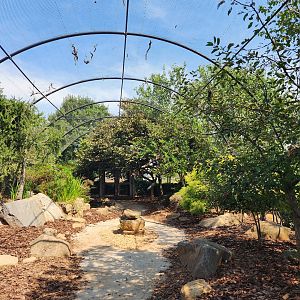 Lazy 5 Ranch - Walkthrough aviary inside