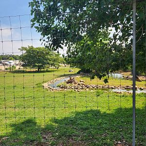 Lazy 5 Ranch - Red Kangaroo enclosure