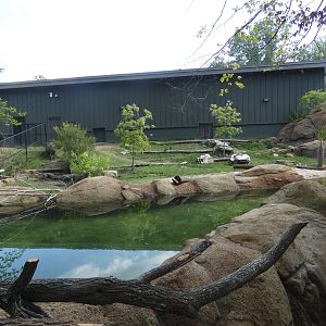 Pygmy Hippo exhibit