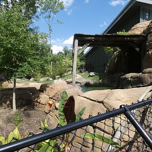 Pygmy Hippo exhibit