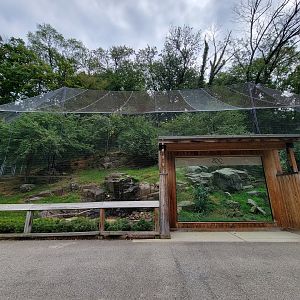 Brandywine - Andean Condor exhibit