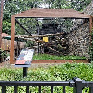 Brandywine - Red Panda exhibit