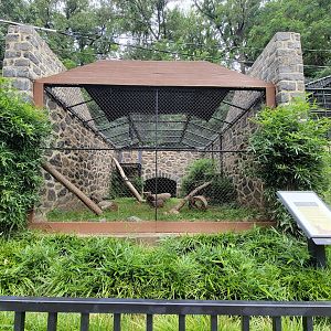 Brandywine - Caracal exhibit
