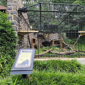 Brandywine - Binturong exhibit