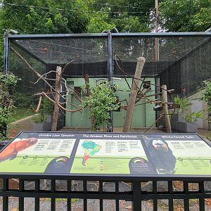 Brandywine - Amazon River exhibit, Golden Lion Tamarins and White-faced Sakis