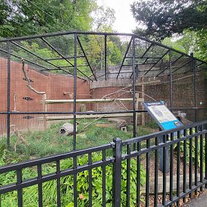 Brandywine - Burrowing Owl