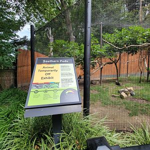 Brandywine - Pudu off exhibit :(