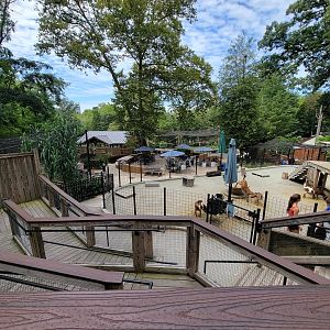 Brandywine - View from top of zoo (bald eagle/sandhill crane exhibit)