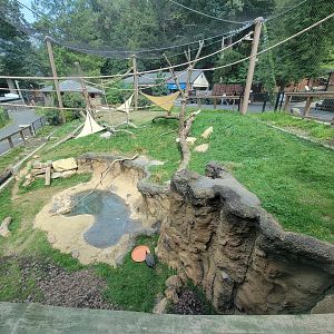 Brandywine - Lemur exhibit after several years of use