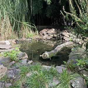 Outdoor turtle exhibit