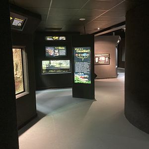 Reptile House hallway