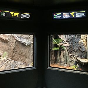 Red Spitting Cobra and Cottonmouth exhibits