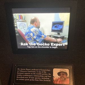 Funny interactive video