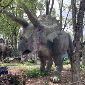 Triceratops