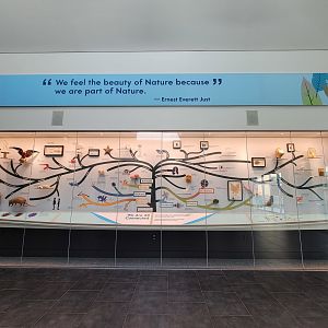 Delaware Museum of Science & Nature - "We feel the Beauty of Nature because we are all part of Nature"