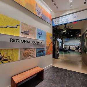 Delaware Museum of Science & Nature - Regional Journey Entrance