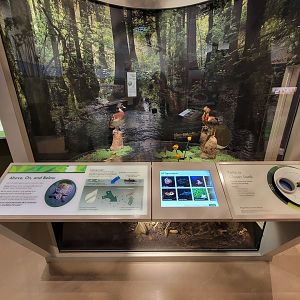 Delaware Museum of Science & Nature - Regional Journey diorama example