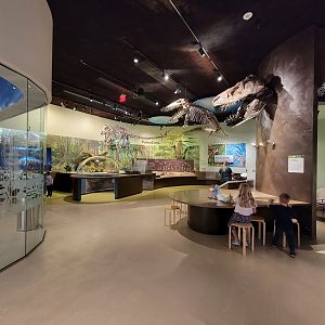 Delaware Museum of Science & Nature - PaleoZone
