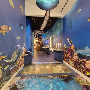 Delaware Museum of Science & Nature - Ocean entrance to Climate Changes Everything