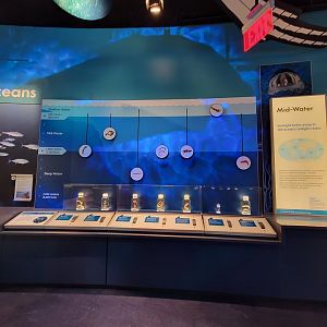 Delaware Museum of Science & Nature - Mid-water specimens (Climate Changes Everything)
