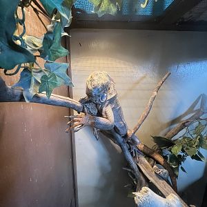 The Alaska State Fair