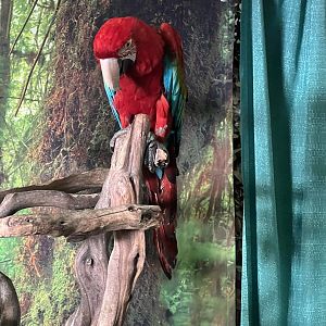 The Alaska State Fair
