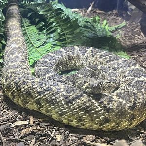 The Alaska State Fair