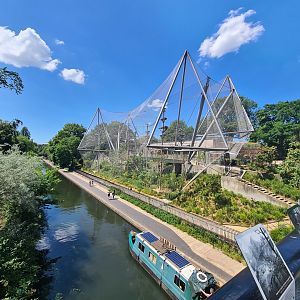 London Zoo - Black-and-white Colobus exhibit