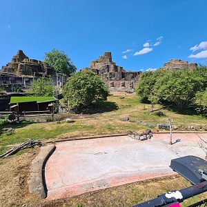 London Zoo - Outback exhibit