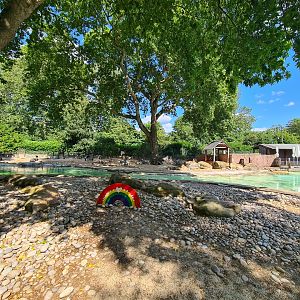 London Zoo - African Penguin exhibit