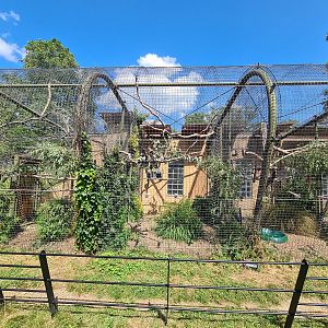 London Zoo - Macaw exhibits