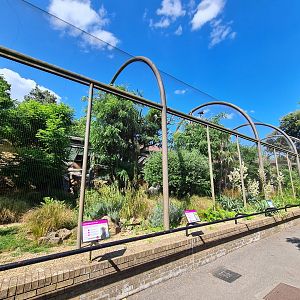 London Zoo - Caracara exhibit