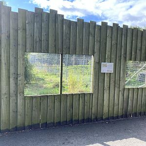 Hamerton black backed jackal enclosure main viewing / signage