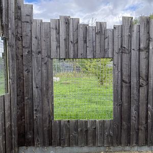 Hamerton black backed jackal enclosure, far side viewing