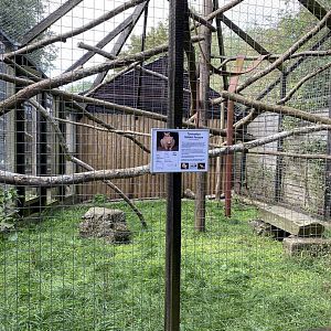 Hamerton golden possum enclosure near the entrance