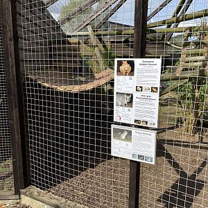 Hamerton new location for rufous bettong with possums