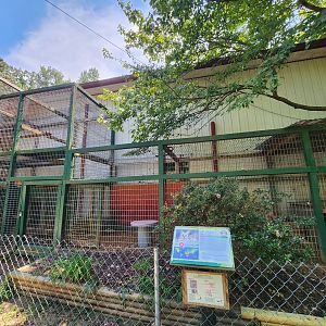 Tiger World - Serval enclosure #1