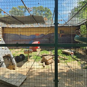 Tiger World - Long-tailed Macaque exhibit